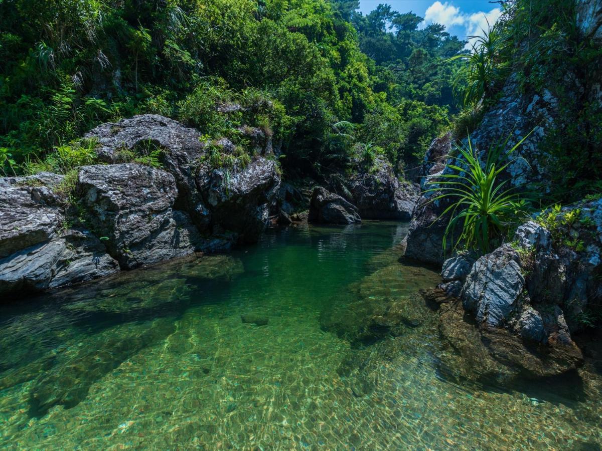 Ada Garden Hotel Okinawa Kunigami Екстер'єр фото